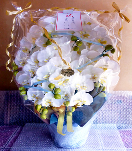 光触媒 造花 胡蝶蘭アレンジ特大サイズ陶器仕様F(9本立ち・ホワイトイエロー)