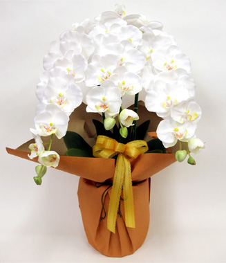 光触媒 造花 胡蝶蘭アレンジ陶器仕様B(3本立ち・ホワイトイエロー)