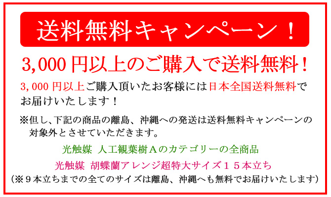 3,000円以上ご注文頂いたお客様には全国送料無料でお届けいたします!但し、光触媒 人工観葉樹のカテゴリーの全商品と光触媒 胡蝶蘭アレンジ超特大サイズ15本立ちの離島、沖縄への発送は対象外とさせていただきます。造花のフラーリシュ