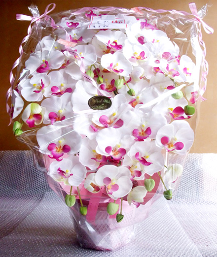 光触媒 造花 胡蝶蘭アレンジ特大サイズ陶器仕様C(7本立ち・ホワイトビューティー)