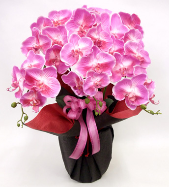 光触媒 造花 胡蝶蘭アレンジ陶器仕様G(3本立ち・ライトワイン)