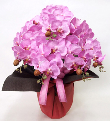 光触媒 造花 胡蝶蘭アレンジ特大サイズ陶器仕様A(5本立ち・ワイン)