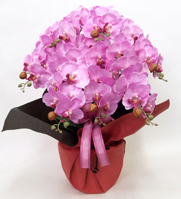 光触媒 造花 胡蝶蘭アレンジ特大サイズ陶器仕様A(7本立ち・ワイン)