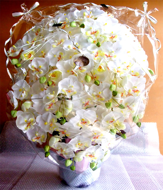 ���G�} ���� �Ӓ����A�����W����T�C�Y����d�l�b�i�P�T�{�����E�z���C�g�C�G���[�E���d�l�j�̃��b�s���O