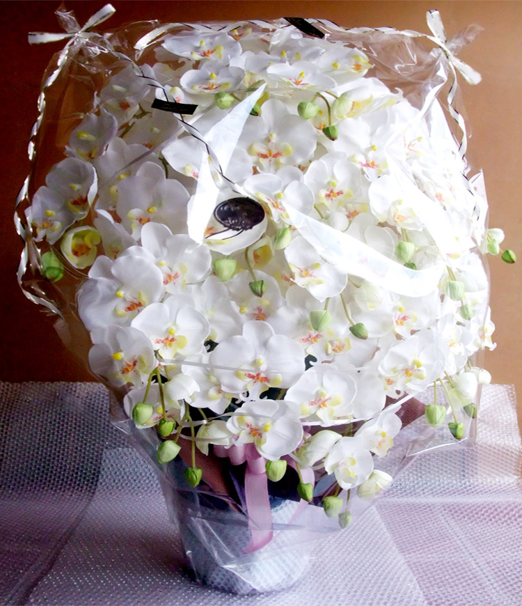 G}  ӒAWTCYdlbiPT{EzCgCG[Edlj̃bsO