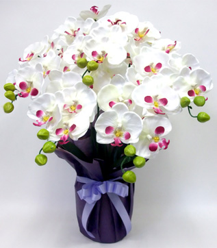 G}  Ӓ̂pAWT{izCgr[eB[j