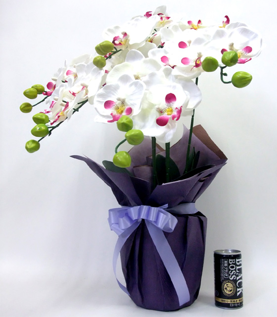 G}  Ӓ̂pAWT{izCgr[eB[j2