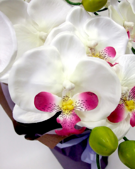 G}  Ӓ̂pAWT{izCgr[eB[j4