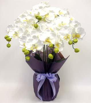 G}  Ӓ̂pAWT{izCgCG[j