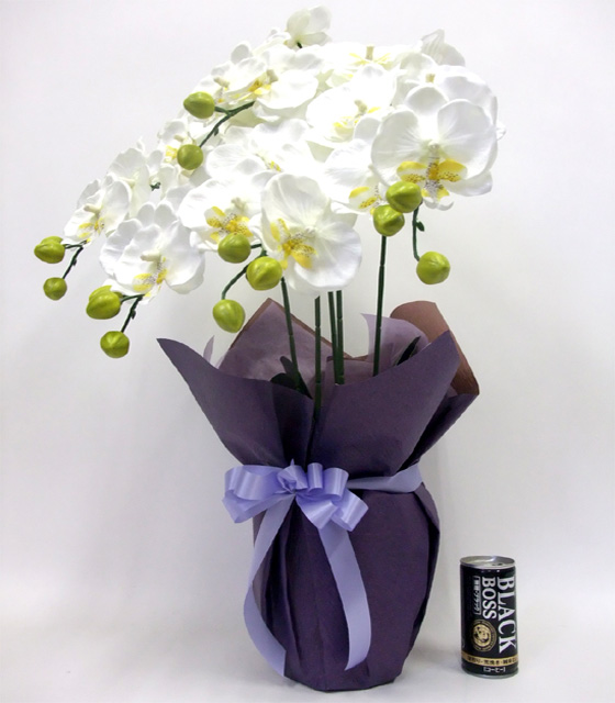 G}  Ӓ̂pAWT{izCgCG[j2