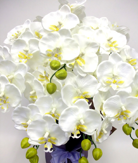 G}  Ӓ̂pAWT{izCgCG[j3