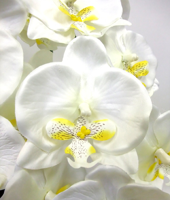 G}  Ӓ̂pAWT{izCgCG[j4