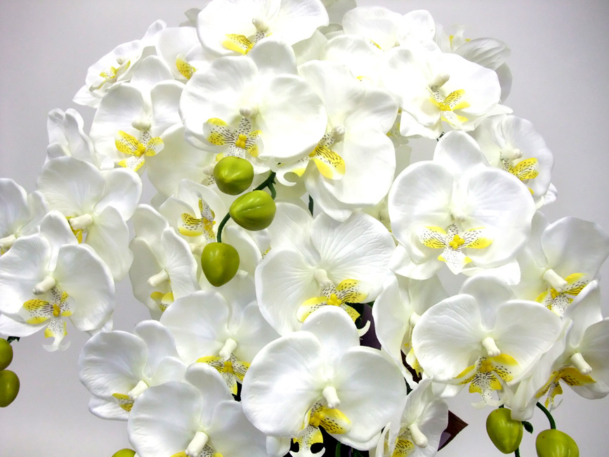 G}  Ӓ̂pAWT{izCgCG[j7