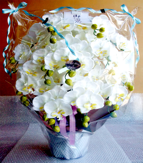 ���G�} ���� �Ӓ����A�����W����T�C�Y����d�l�e�i�P�Q�{�����E�z���C�g�C�G���[�E���d�l�j