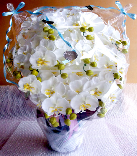 ���G�} ���� �Ӓ����A�����W����T�C�Y����d�l�e�i�P�Q�{�����E�z���C�g�C�G���[�E�������p ������݁j