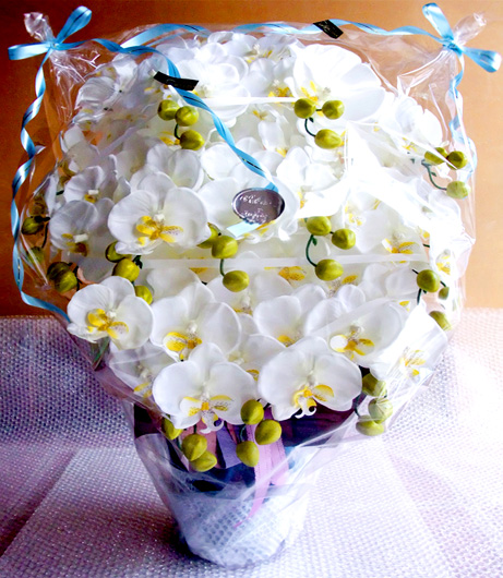 光触媒 造花 胡蝶蘭アレンジ特大サイズ陶器仕様F(12本立ち・ホワイトイエロー・お供え用 お悔やみ)