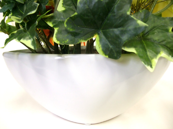 ���G�} ���� �K�[�x���~�b�N�X�A�����W5