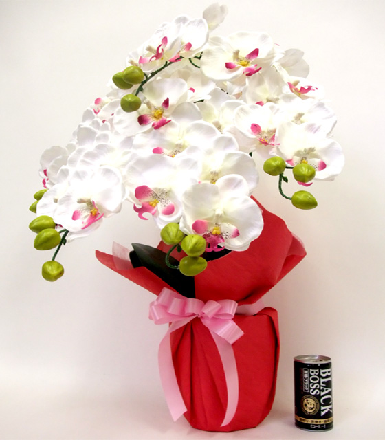 G}  ӒAWT{dizCgr[eB[j2