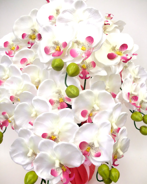 G}  ӒAWT{dizCgr[eB[j3