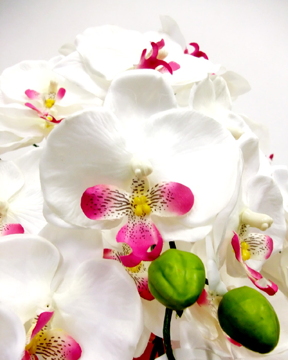 G}  ӒAWT{dizCgr[eB[j4