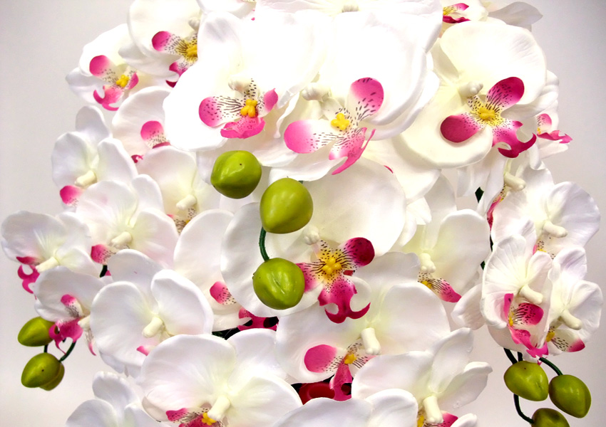 G}  ӒAWT{dizCgr[eB[j7