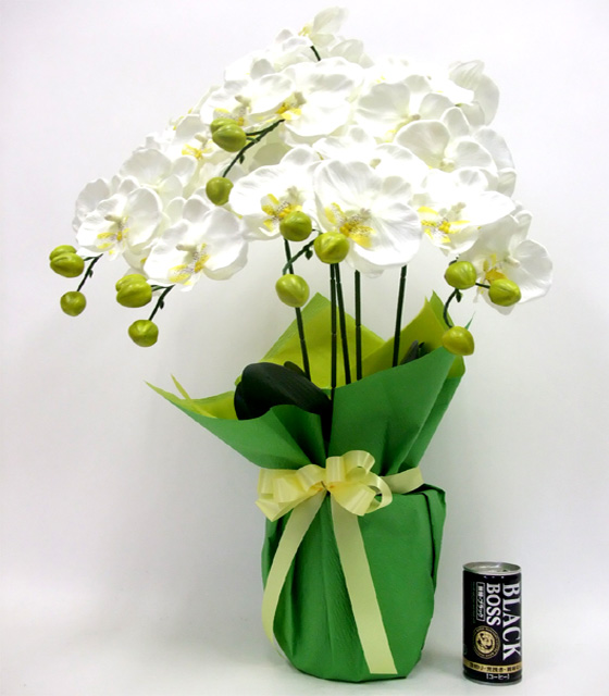 G}  ӒAWT{dizCgCG[j2