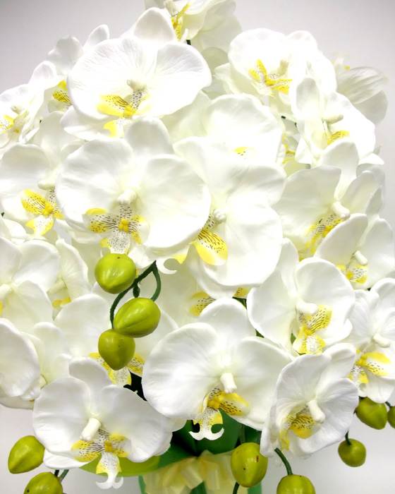 G}  ӒAWT{dizCgCG[j3