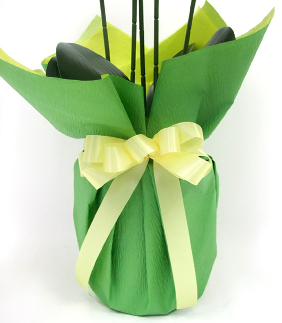 G}  ӒAWT{dizCgCG[j5