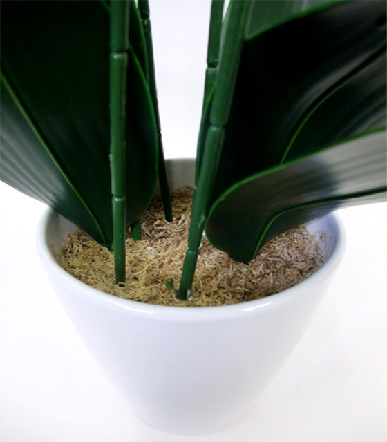 G}  ӒAWT{dizCgCG[j6