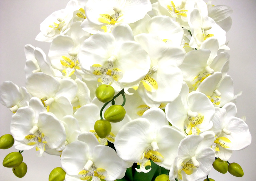 G}  ӒAWT{dizCgCG[j7