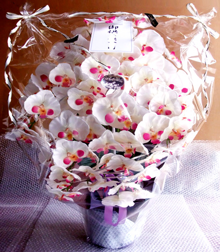 G}  ӒAWTCYdlciV{EzCgr[eB[Edlj