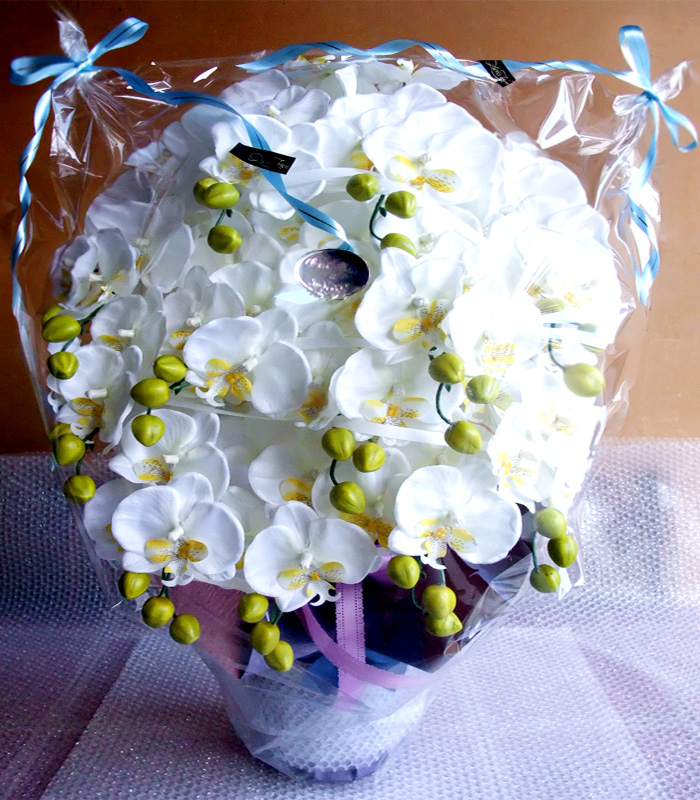 ���G�} ���� ������ �Ӓ����A�����W����T�C�Y����d�l�e�i�P�Q�{�����E�z���C�g�C�G���[�E������ݗp�j