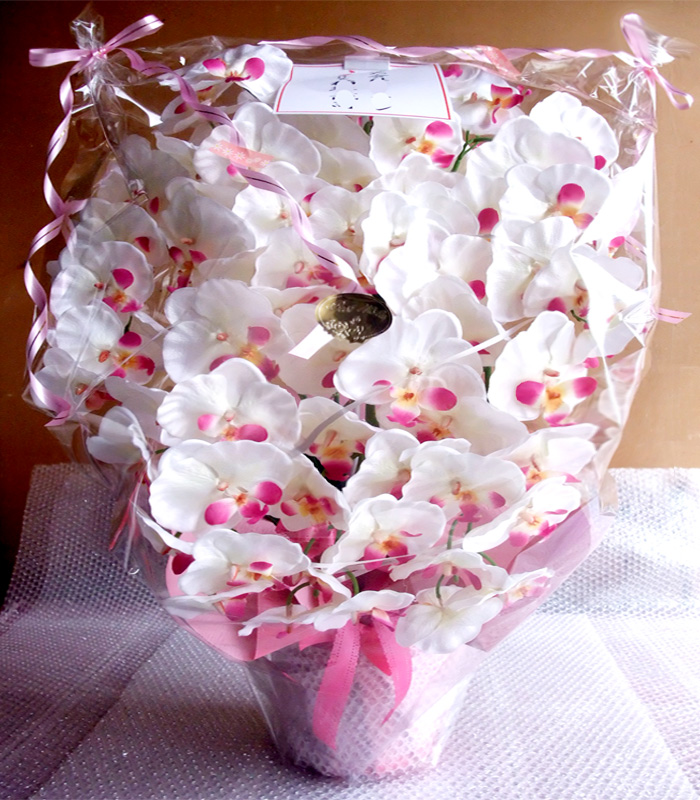 G}  ӒAWTCYdlciV{EzCgr[eB[j̃bsO