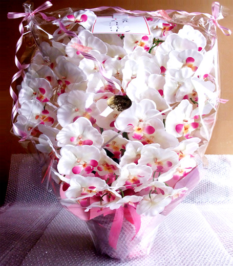 G}  ӒAWTCYdlciV{EzCgr[eB[j̃bsO