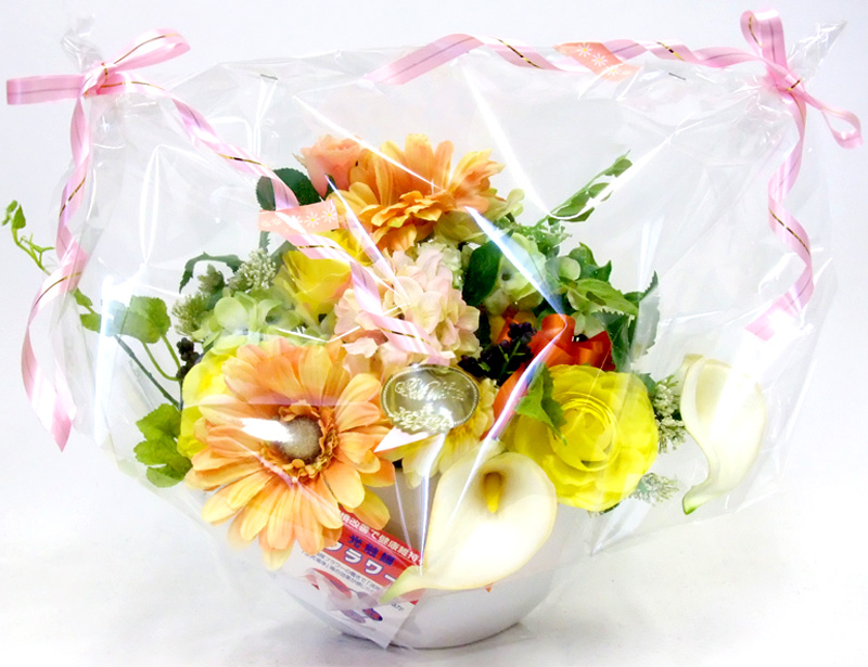 ���G�} ���� �K�[�x���~�b�N�X�A�����W�̃��b�s���O