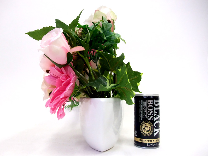 ���G�} ���� �o���ƃK�[�x���̃A�����W�`2