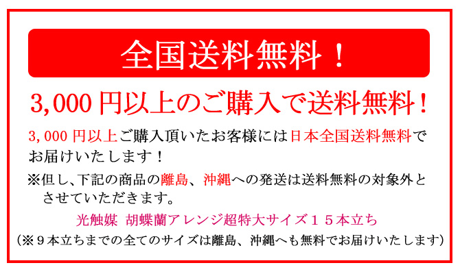 3,000円以上ご注文頂いたお客様には全国送料無料でお届けいたします!但し、光触媒 胡蝶蘭アレンジ超特大サイズ15本立ちの離島、沖縄への発送は対象外とさせていただきます。造花のフラーリシュ