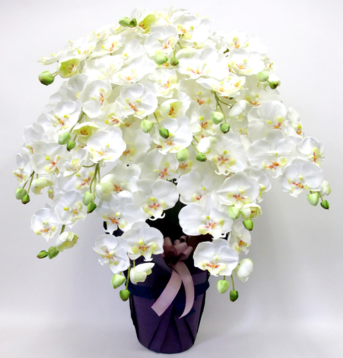 G}  ӒAWTCYdlbiPT{EzCgCG[Edlj1