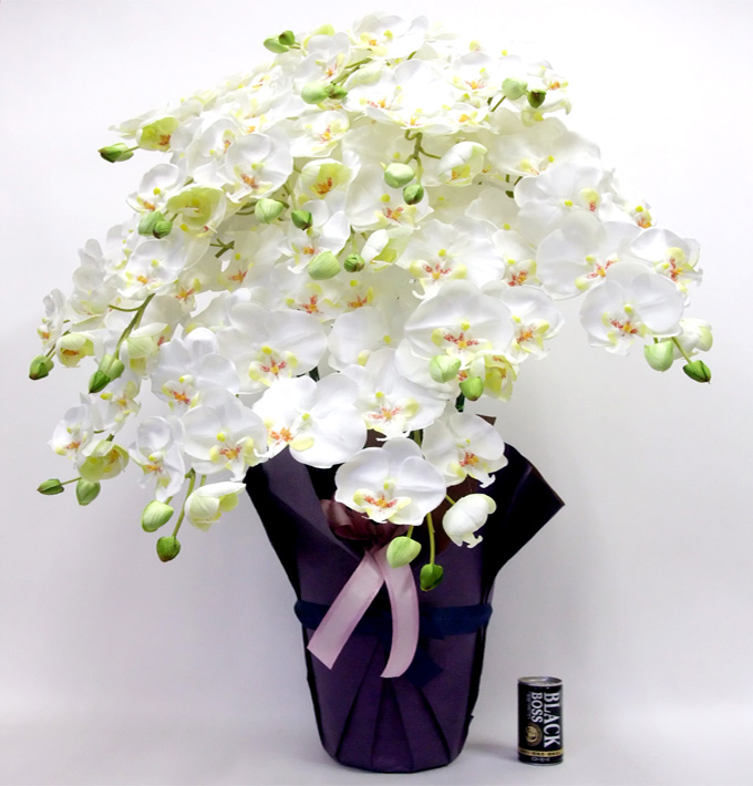 G}  ӒAWTCYdlbiPT{EzCgCG[Edlj2