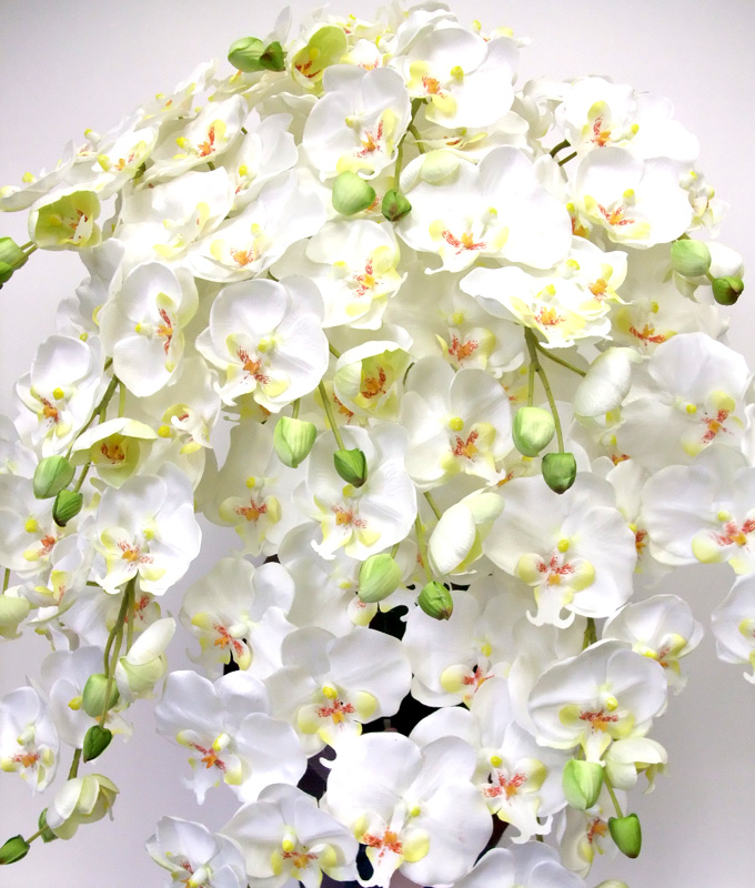 G}  ӒAWTCYdlbiPT{EzCgCG[Edlj3