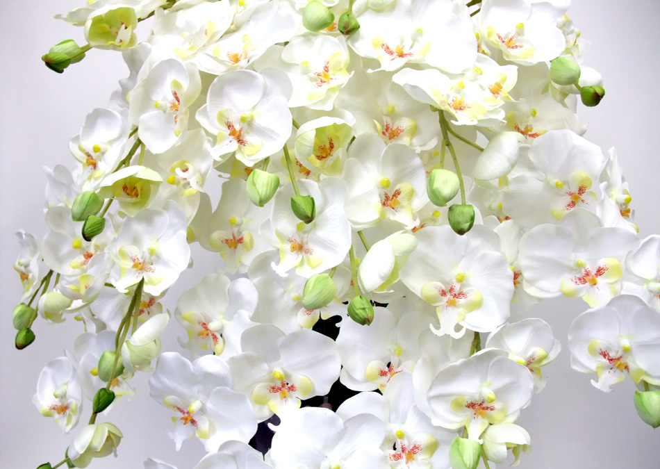 G}  ӒAWTCYdlbiPT{EzCgCG[Edlj7