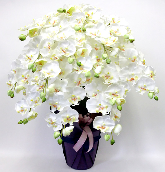 G}  ӒAWTCYdlbiPT{EzCgCG[Edlj