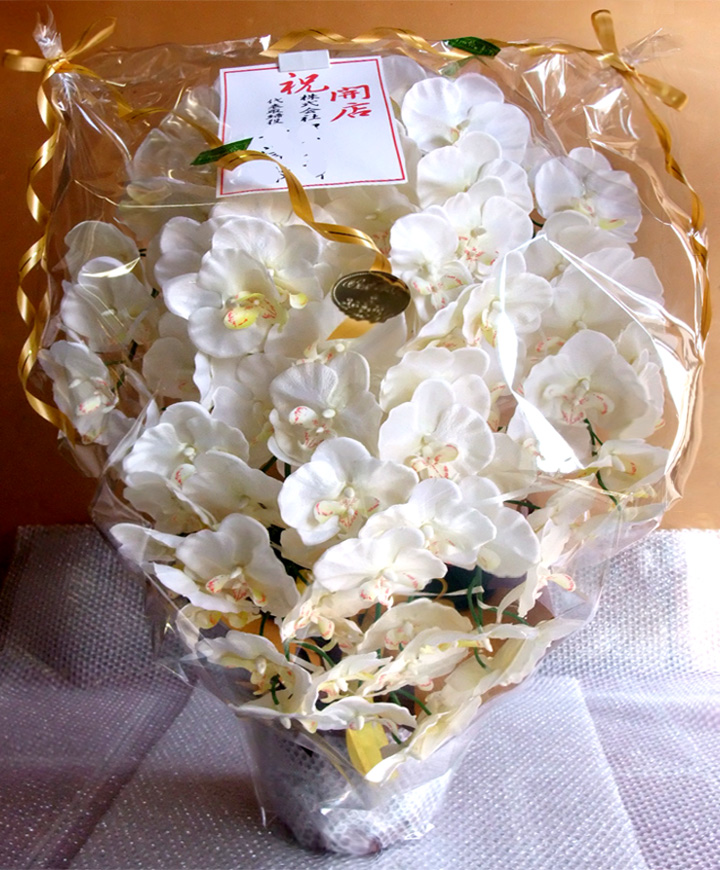 ���G�} ���� �Ӓ����A�����W������T�C�Y����d�l�c�i�X�{������z���C�g�C�G���[�j