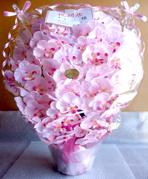 ���G�} ���� �Ӓ����A�����W������T�C�Y����d�l�c�i�X�{������s���N���x���_�[�j