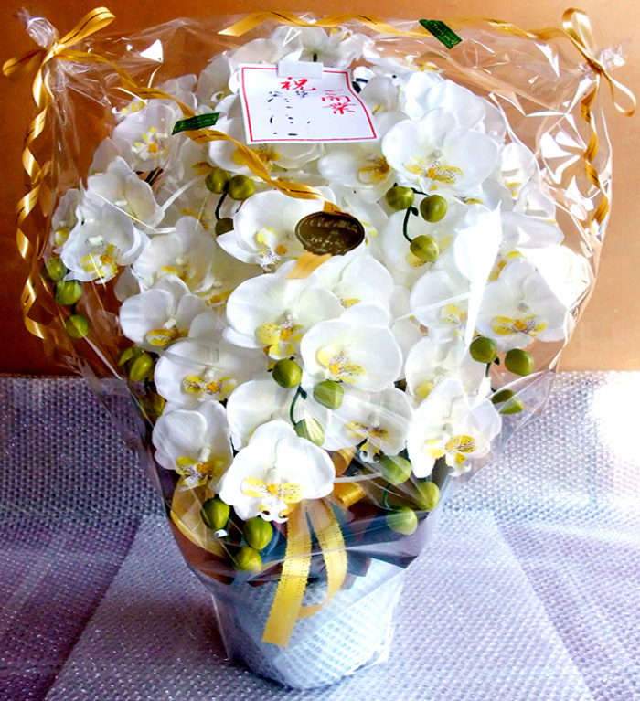 ���G�} ���� �Ӓ����A�����W����T�C�Y����d�l�e�i�X�{�����E�z���C�g�C�G���[�j