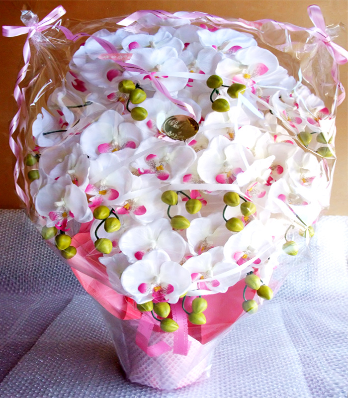 ���G�} ���� �Ӓ����A�����W����T�C�Y����d�l�e�i�P�Q�{�����E�z���C�g�r���[�e�B�[�j�ړ]�j���E���蕨