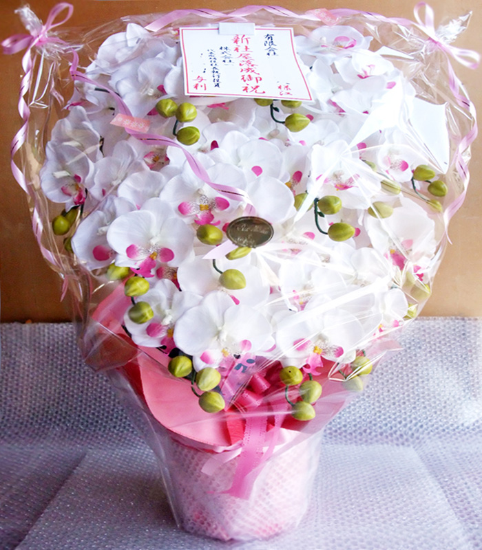 ���G�} ���� �Ӓ����A�����W����T�C�Y����d�l�e�i�P�Q�{�����E�z���C�g�r���[�e�B�[�j���i�j���E���������E�ސE�j��