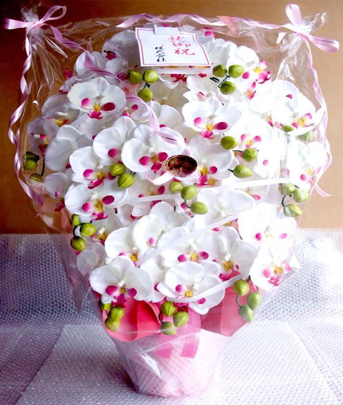 ���G�} ���� �Ӓ����A�����W����T�C�Y����d�l�e�i�P�Q�{�����E�z���C�g�r���[�e�B�[�j���C�j���E�J�@�j���E�a�����j��