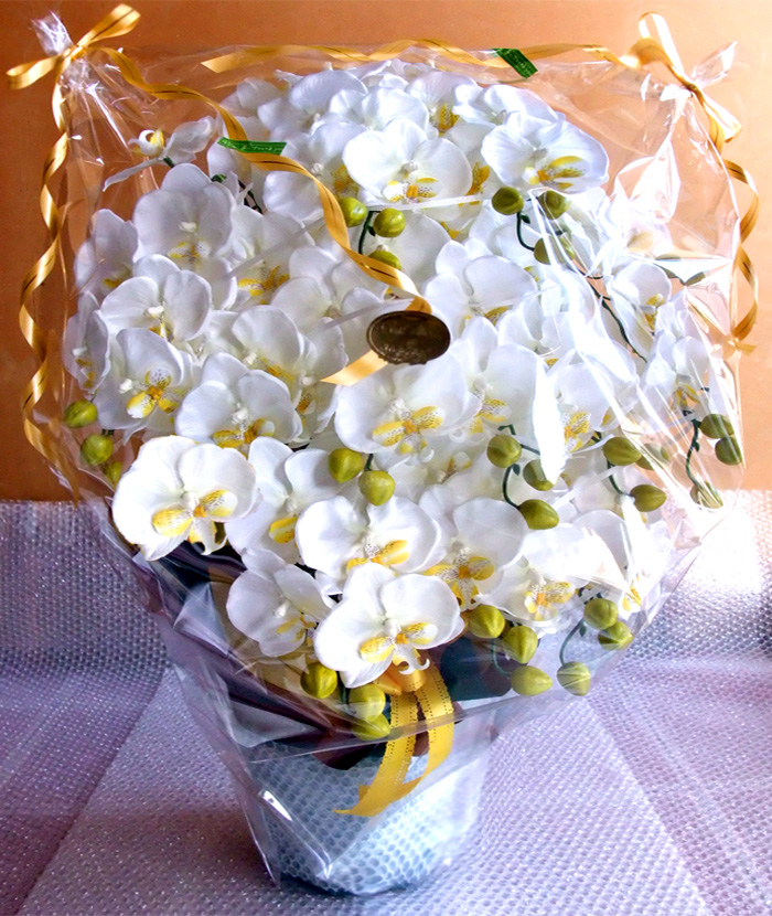 ���G�} ���� �Ӓ����A�����W����T�C�Y����d�l�e�i�P�Q�{�����E�z���C�g�C�G���[�j