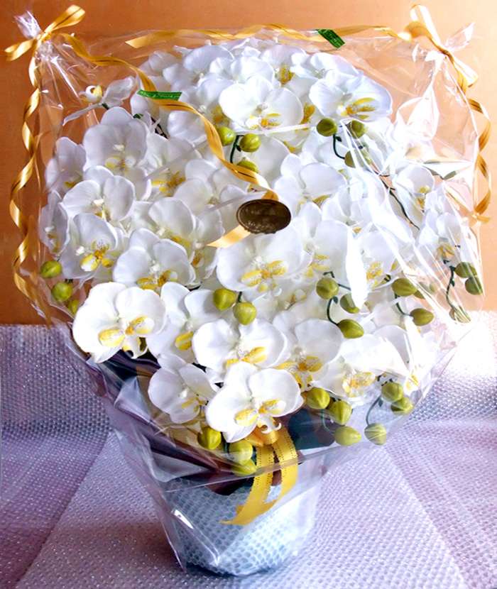 ���G�} ���� �Ӓ����A�����W����T�C�Y����d�l�e�i�P�Q�{�����E�z���C�g�C�G���[�j